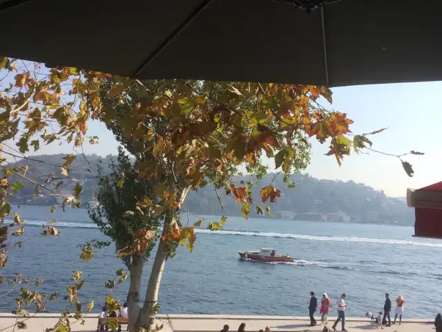 Rumeli Kale Cafe'nin yemek ve ambiyans fotoğrafları 14