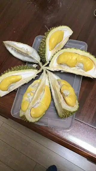 SkyDurian