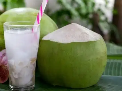 Kelapa Muda Dan Kelapa Ijo Obat Mas Gepeng