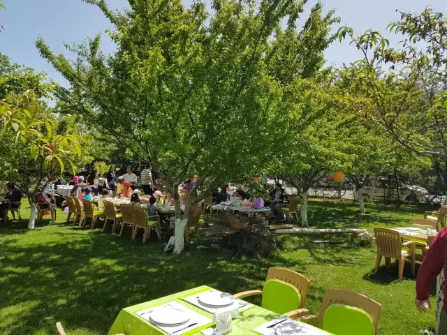 Heybeli Bahçe'nin yemek ve ambiyans fotoğrafları 23
