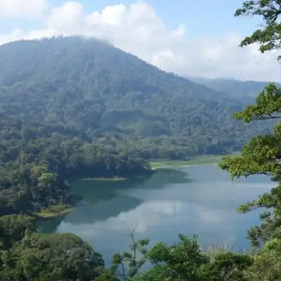 Terrasse du Lac Tamblingan Sari