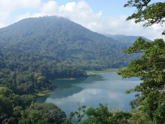 Terrasse du Lac Tamblingan Sari