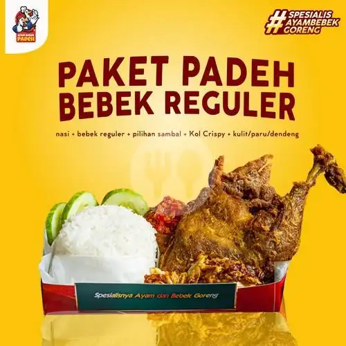 Gambar Makanan Ayam Bebek Padeh By Bro Kitchen, Mutiara Gading 1