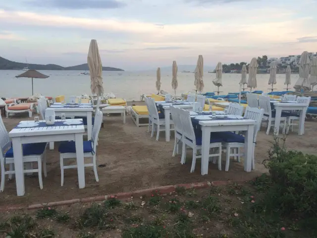 Kıyı Restaurant'nin yemek ve ambiyans fotoğrafları 3