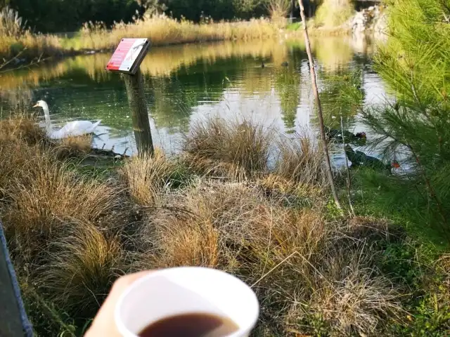 Kuğulu Cafe'nin yemek ve ambiyans fotoğrafları 4