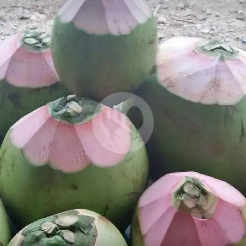 Gambar Makanan Es Kelapa Muda Berkah 18