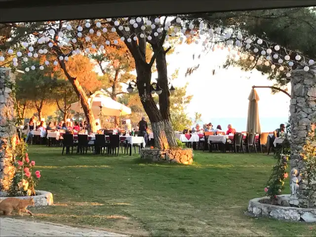 Özdere Kalemlik Restaurant'nin yemek ve ambiyans fotoğrafları 1