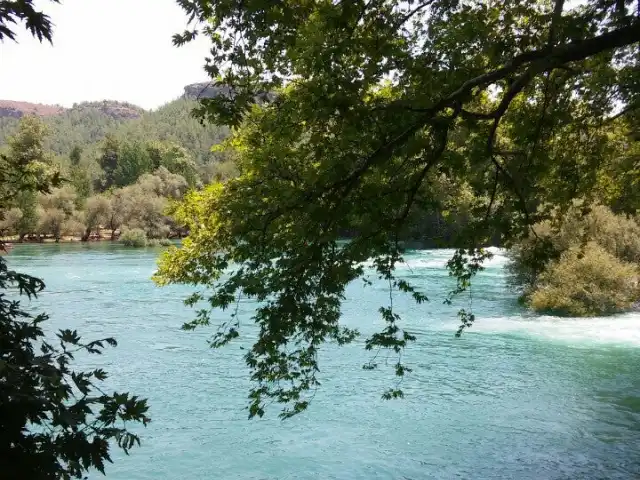 Manavgat Selalesi Balık Ciftligi'nin yemek ve ambiyans fotoğrafları 3