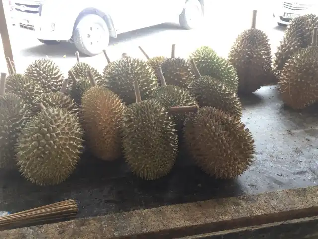 Pesta Durian Balik Pulau Food Photo 11