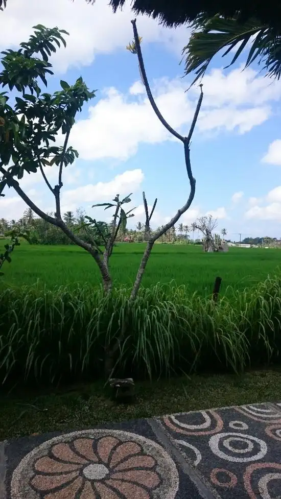 Gambar Makanan Warong Ikan Bakar dan Kolam Pancing Sawah Indah 9