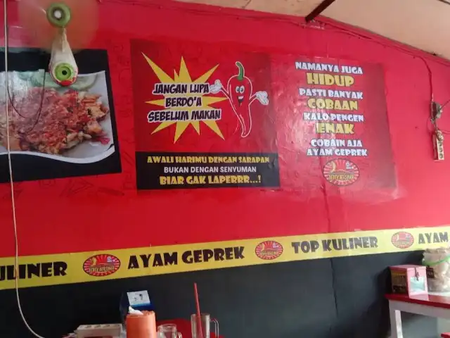 Gambar Makanan Bebek Bersinar 09 3