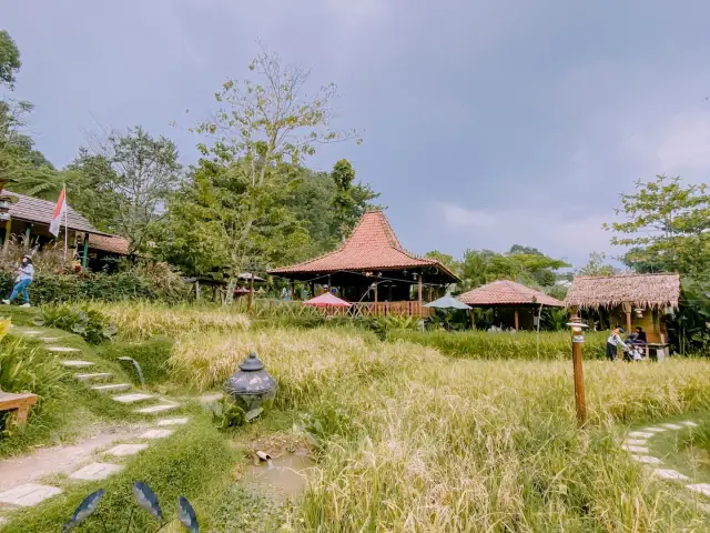 Gambar Makanan Sawah Segar Sentul 3