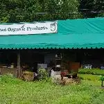 Bacolod Organic Cafe Food Photo 2
