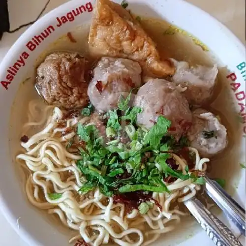 Gambar Makanan Warung Bakso SUTINI 1