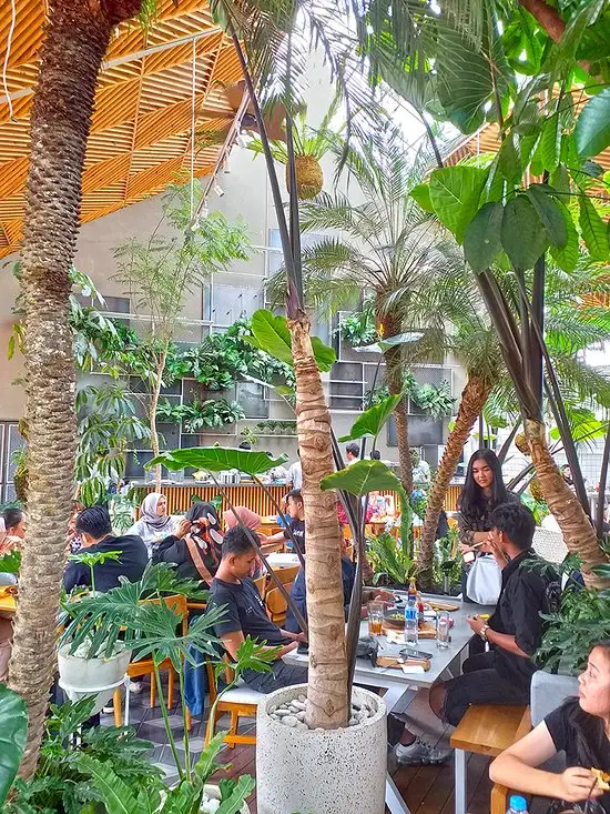 Jardin Cafe