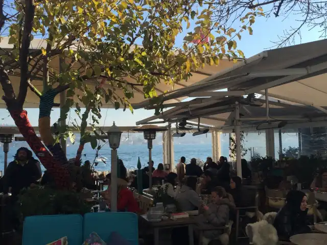 Bebek AŞK CAFE'nin yemek ve ambiyans fotoğrafları 16