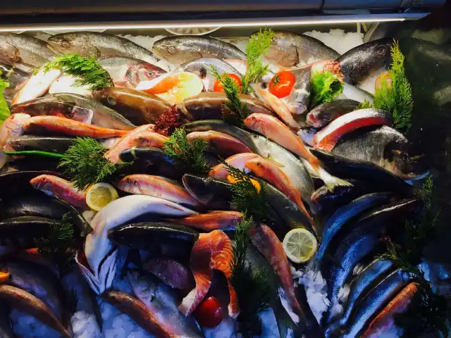 Zoka Balık'nin yemek ve ambiyans fotoğrafları 22