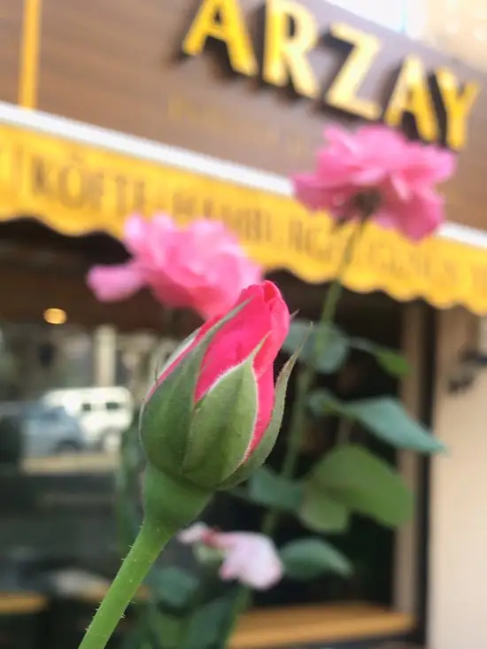 Arzay Cafe Resto'nin yemek ve ambiyans fotoğrafları 60
