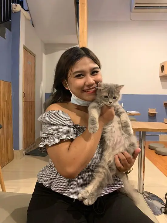 Canggu Cat Cafe