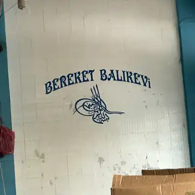 bereket balıkcılık