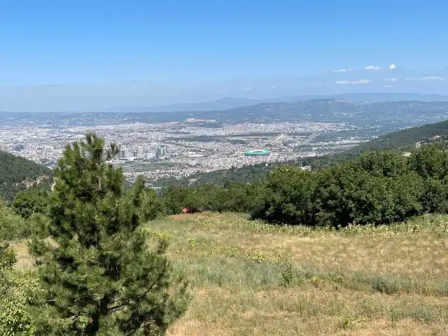 Tepe Cafe'nin yemek ve ambiyans fotoğrafları 11