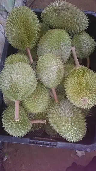 D'durian Abg Bakar Food Photo 4