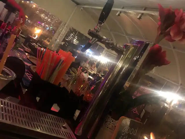 Pura Vida Restaurant'nin yemek ve ambiyans fotoğrafları 2