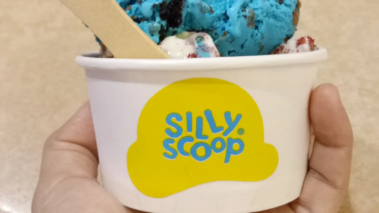 Silly Scoop