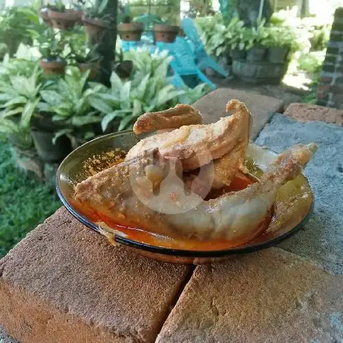 Gambar Makanan Warung Nasi Kapau Bandar Damar,  Damar 2 8