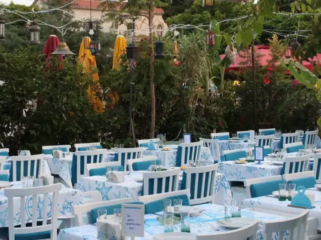 Meyhane Şerefe'nin yemek ve ambiyans fotoğrafları 52