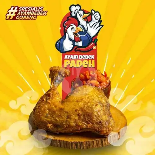 Gambar Makanan Ayam Bebek Padeh By Bro Kitchen, Bintaro 14