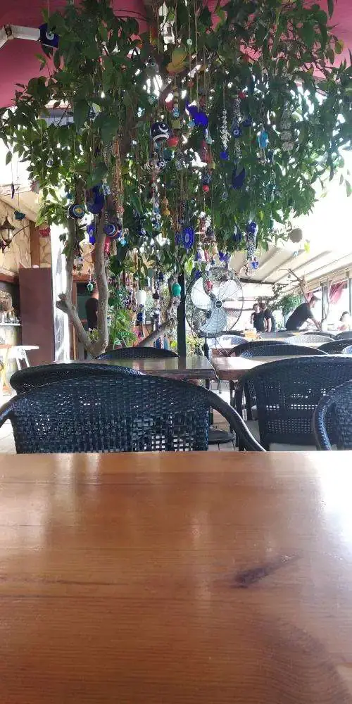 Zencefil Cafe Restaurant'nin yemek ve ambiyans fotoğrafları 4