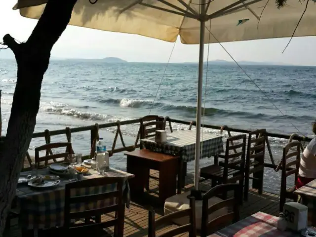 Zeytin Cafe'nin yemek ve ambiyans fotoğrafları 1