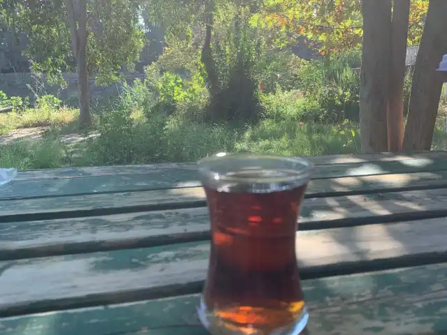 Şelale Restaurant'nin yemek ve ambiyans fotoğrafları 1