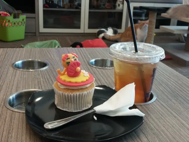 Gambar Makanan Cutie Cats Cafe 6