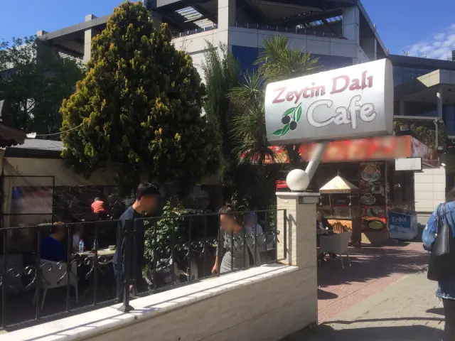 Zeytin Dalı Cafe Bakırköy 'nin yemek ve ambiyans fotoğrafları 12