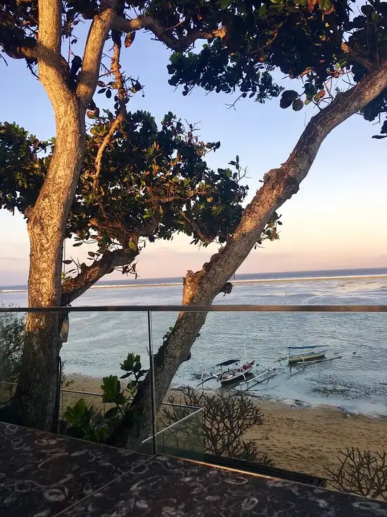 Gambar Makanan Tree Bar at Maya Sanur 11