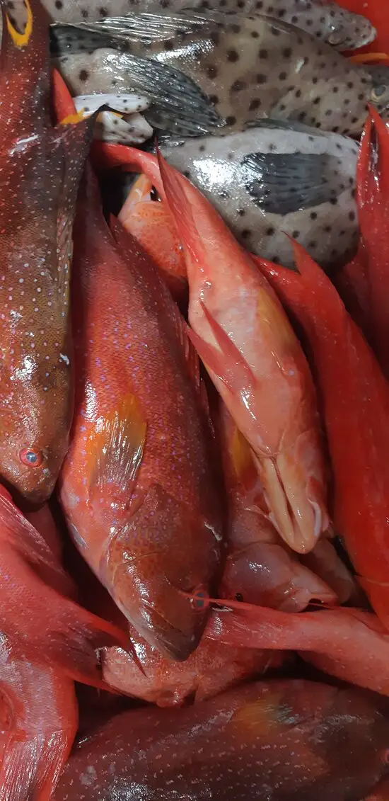 Gambar Makanan R.M Ikan Bakar Sari Laut 1