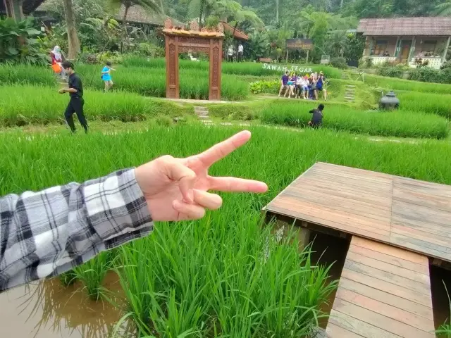 Gambar Makanan Sawah Segar Sentul 19