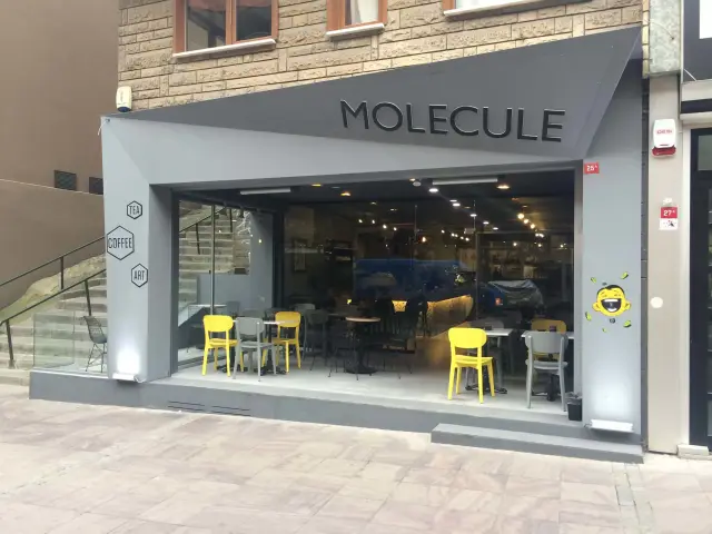 Molecule Cafe'nin yemek ve ambiyans fotoğrafları 5