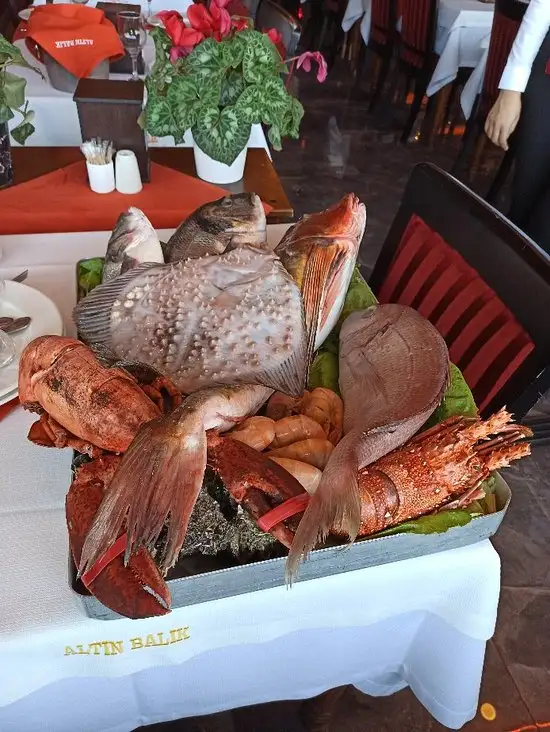 Galata Altın Balık'nin yemek ve ambiyans fotoğrafları 9