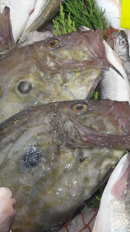 Başoğlu balık'nin yemek ve ambiyans fotoğrafları 15