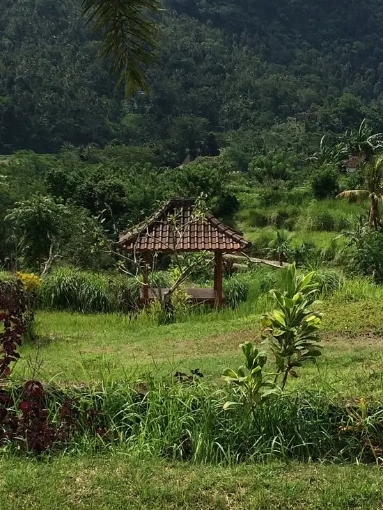 Gambar Makanan Warung Telaga Sidemen 4