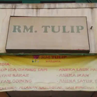 RM Tulip