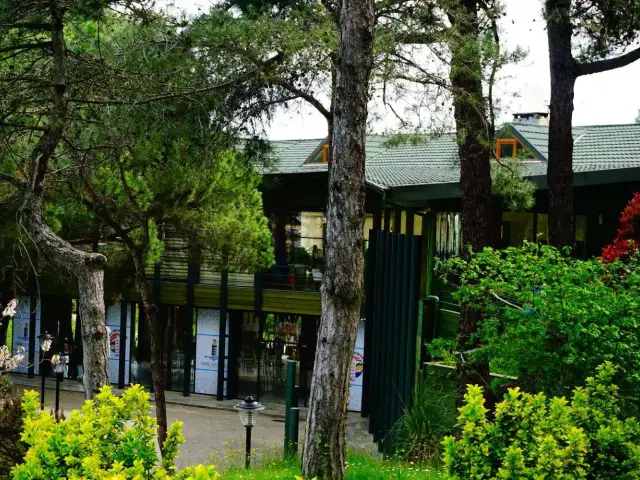 çamlık Mercan Köşk Restoran'nin yemek ve ambiyans fotoğrafları 16