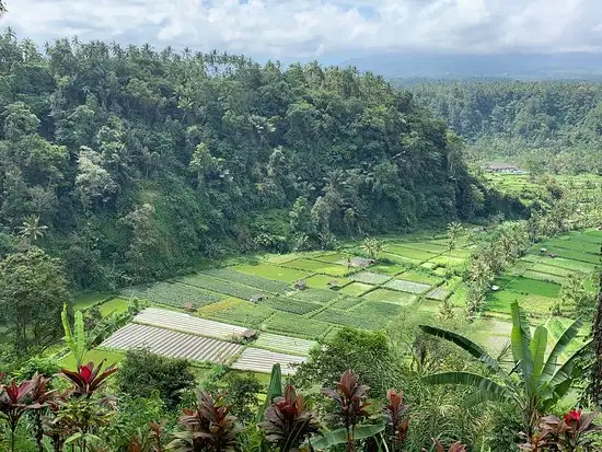 Gambar Makanan Lereng Agung 6