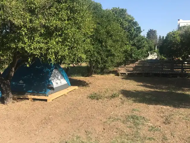 Bodrum Ecofarm'nin yemek ve ambiyans fotoğrafları 6