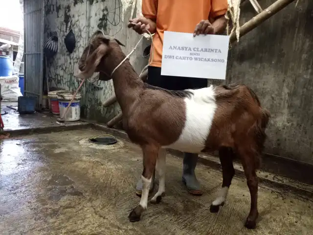 Gambar Makanan Barokah Aqiqah Purwokerto 2