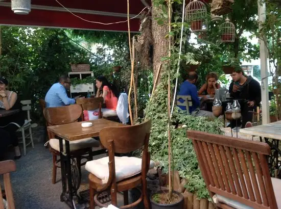 Sardunya Cafe'nin yemek ve ambiyans fotoğrafları 2