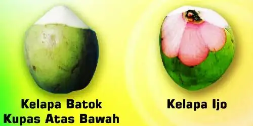 Kelapa Muda dan Ijo Asli Pak Hebat, Teluk Intan